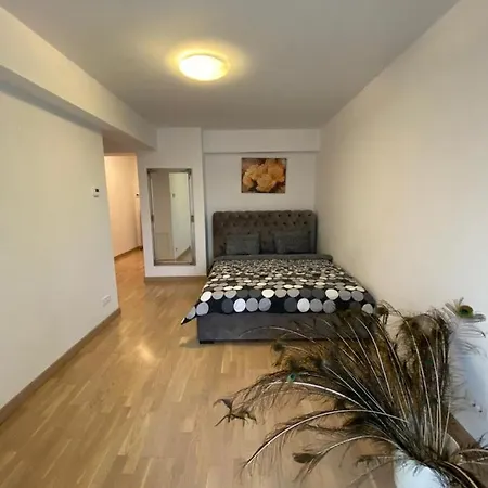Apartment Andreea's Bucharest